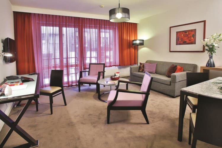 One Bedroom Apartment bedroom living area